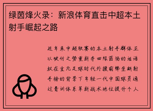 绿茵烽火录：新浪体育直击中超本土射手崛起之路